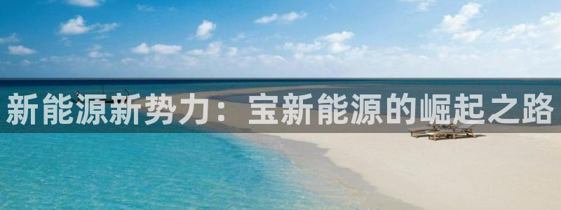 新宝gg招商：新能源新势力：宝新能源的崛