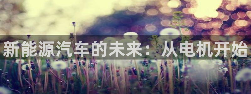 新宝GG跑路：新能源汽车的未来：从电机开