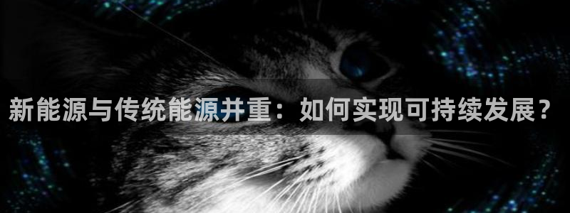 新宝gg平台注册：新能源与传统能源并重：