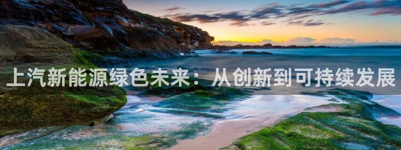 新宝gg总管：上汽新能源绿色未来：从创新