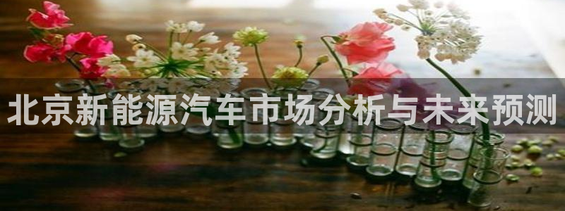 新宝gg手机注册官网：北京新能源汽车市场