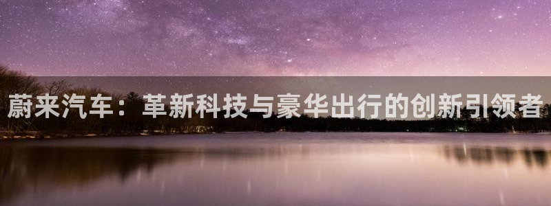 109新宝gg：蔚来汽车：革新科技与豪华