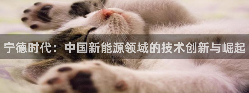 新宝gg如何赚钱：宁德时代：中国新能源领