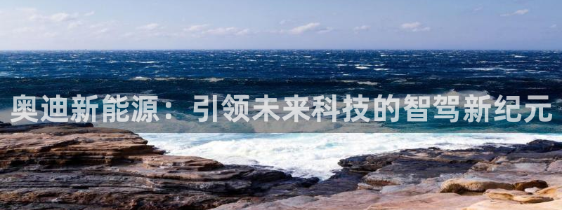 新宝gg图片：奥迪新能源：引领未来科技的