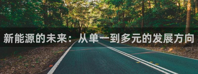 新宝gg成立：新能源的未来：从单一到多元