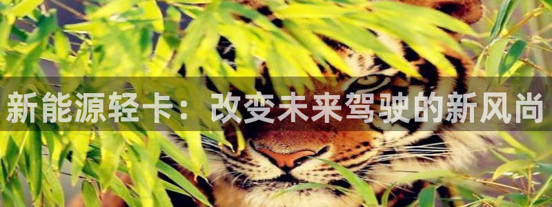 新宝gg开好：新能源轻卡：改变未来驾驶的