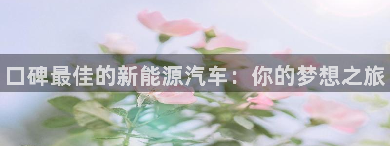 l新宝gg：口碑最佳的新能源汽车：你的梦