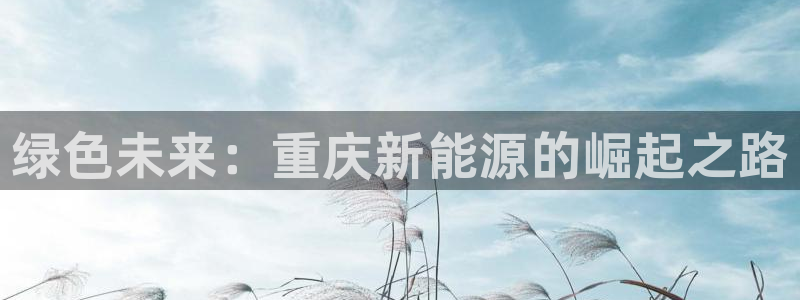 新宝GG扩展78778：绿色未来：重庆新