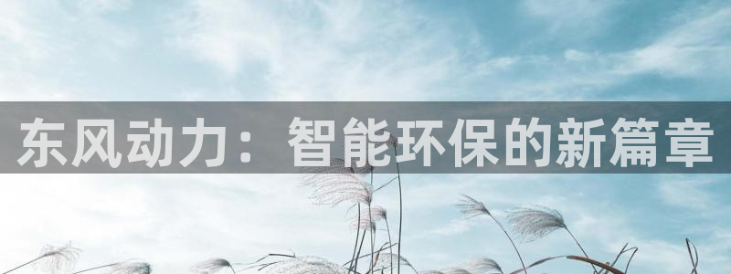 新宝gg娱乐平台：东风动力：智能环保的新