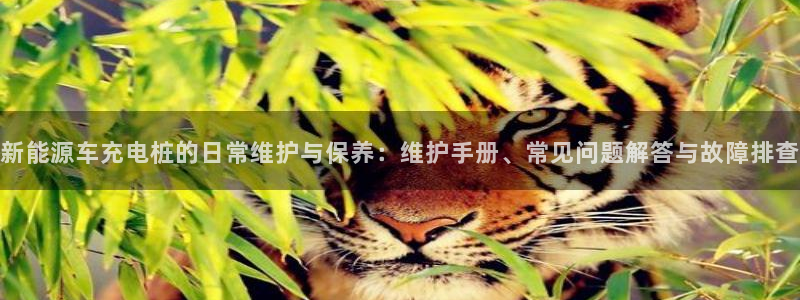 新宝gg客服：新能源车充电桩的日常维护与
