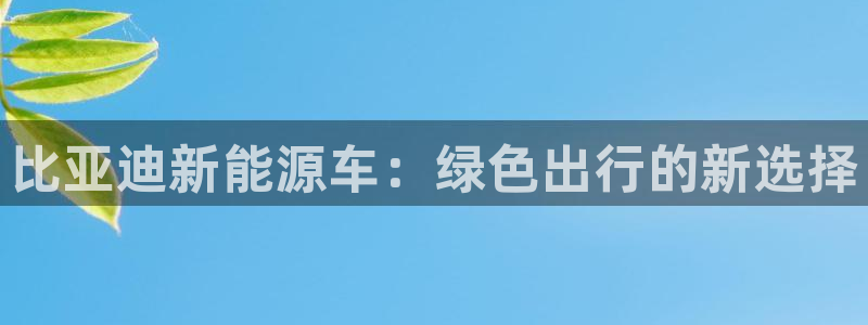 新宝GG上级：比亚迪新能源车：绿色出行的