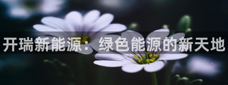 分分新宝gg：开瑞新能源：绿色能源的新天