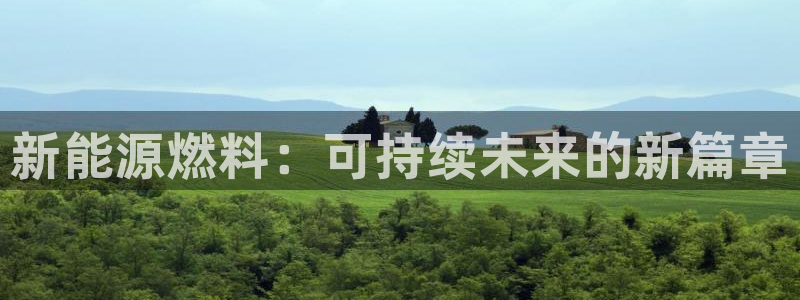 新宝gg一创造奇迹：新能源燃料：可持续未