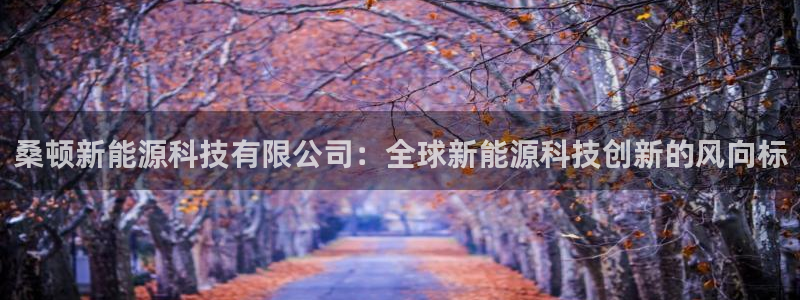手机新宝gg：桑顿新能源科技有限公司：全