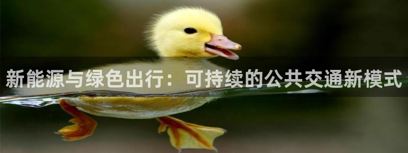 新宝gg手机助手：新能源与绿色出行：可持