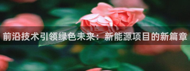 新宝给gg：前沿技术引领绿色未来：新能源