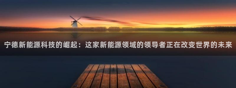 菲律宾新宝gg娱乐：宁德新能源科技的崛起