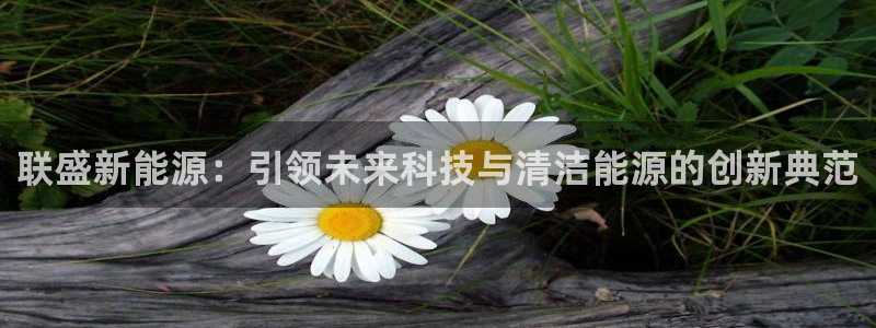 新宝GG以355051：联盛新能源：引领