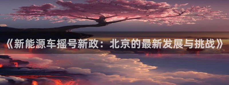 新宝gg登录网址：《新能源车摇号新政：北