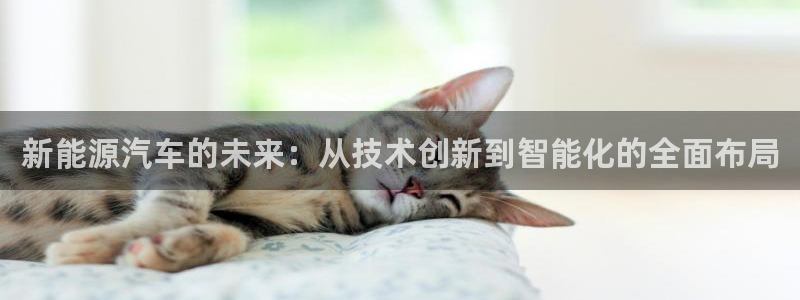 新宝gg扣钱：新能源汽车的未来：从技术创